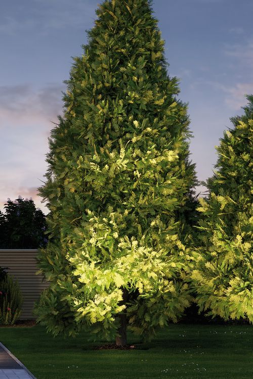 Paulmann Ground-Mounted luminaire - 93907