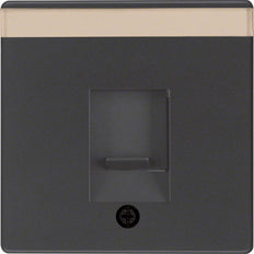RJ Data Center Plate With Dust Protection Q Series - 11706086