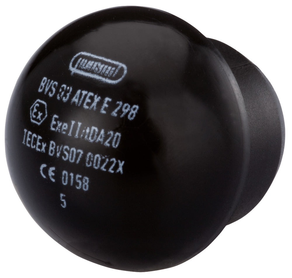 HSK V Ex Industrial Blind Plug PG21 M25 - 1296210111 [5 Pieces]