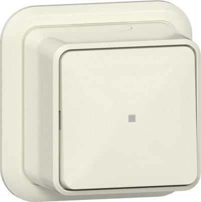 Gira 2-Pole Surface Mount Control Switch With LED - 311210