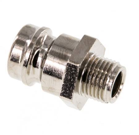 Brass DN 9 Mold Coupling Plug G 1/8 inch Male Threads [5 Pieces]