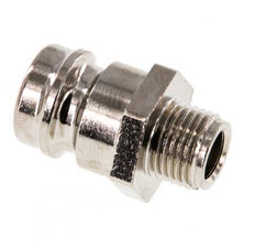 Brass DN 9 Mold Coupling Plug G 1/8 inch Male Threads [5 Pieces]