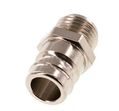 Brass DN 9 Mold Coupling Plug G 1/4 inch Male Threads [5 Pieces]