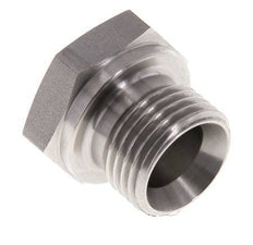 Plug G1/2'' Stainless steel with External Hex 60° cone 300bar (4215.0psi) Hydraulic