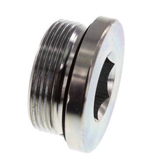 Plug M42 X 2 Steel NBR with Internal Hex 250bar (3512.5psi)