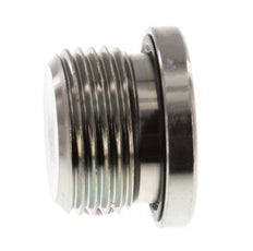 Plug M27 X 2 Steel NBR with Internal Hex 400bar (5620.0psi)