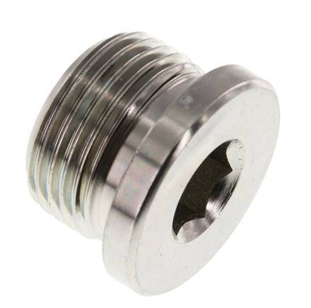 Plug M27 X 2 Steel NBR with Internal Hex 400bar (5620.0psi)