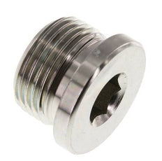 Plug M27 X 2 Steel NBR with Internal Hex 400bar (5620.0psi)