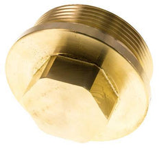 Plug G2'' Brass with Collar and External Hex 16bar (224.8psi)