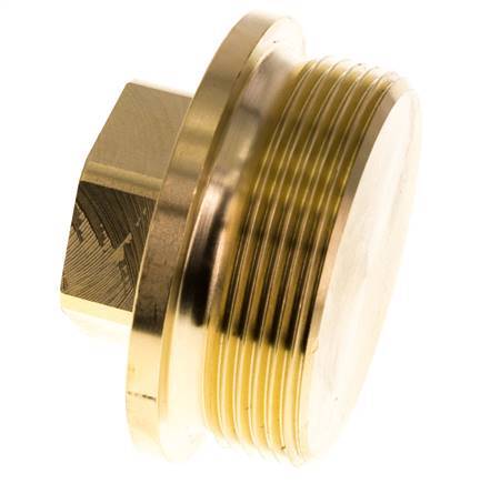 Plug G2'' Brass with Collar and External Hex 16bar (224.8psi)