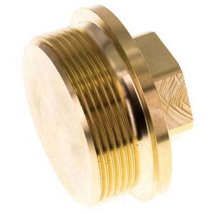 Plug G2'' Brass with Collar and External Hex 16bar (224.8psi)