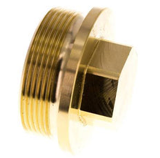 Plug G2'' Brass with Collar and External Hex 16bar (224.8psi)