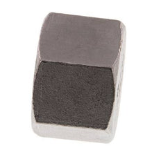 1'' NPT Stainless steel End cap 16 Bar