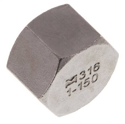 1'' NPT Stainless steel End cap 16 Bar