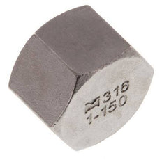 1'' NPT Stainless steel End cap 16 Bar