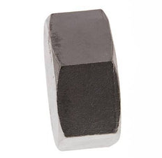 2'' NPT Stainless steel End cap 16 Bar
