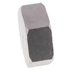 2 1/2'' NPT Stainless steel End cap 16 Bar