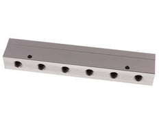 2xG 1/2'' x 12xG 1/4'' Aluminium Distributor Block Double-sided 16 Bar
