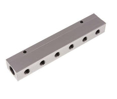 2xG 1/2'' x 12xG 1/4'' Aluminium Distributor Block Double-sided 16 Bar
