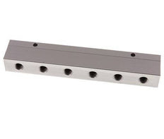 2xG 1/2'' x 12xG 1/4'' Aluminium Distributor Block Double-sided 16 Bar