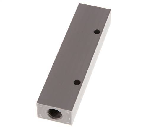 2xG 1/4'' x 4xG 1/8'' Aluminium Distributor Block One-sided 16 Bar