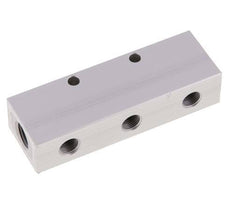 2xG 1/4'' x 6xG 1/8'' Aluminium Distributor Block Double-sided 16 Bar