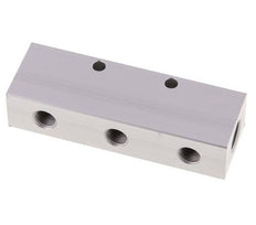 2xG 1/4'' x 6xG 1/8'' Aluminium Distributor Block Double-sided 16 Bar