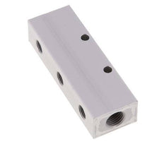 2xG 1/4'' x 6xG 1/8'' Aluminium Distributor Block Double-sided 16 Bar