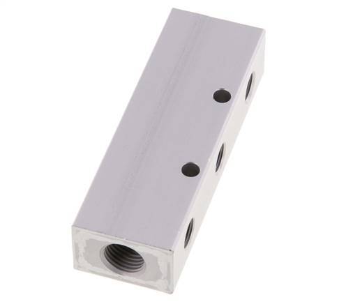 2xG 1/4'' x 6xG 1/8'' Aluminium Distributor Block Double-sided 16 Bar