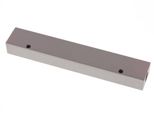 2xG 1/4'' x 6xG 1/8'' Aluminium Distributor Block One-sided 16 Bar