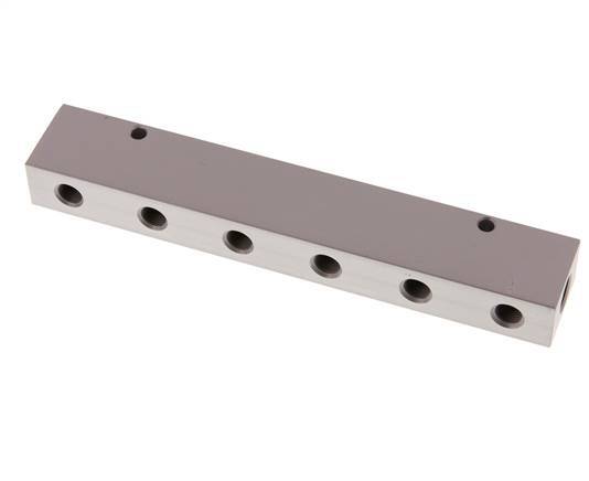 2xG 1/4'' x 6xG 1/8'' Aluminium Distributor Block One-sided 16 Bar