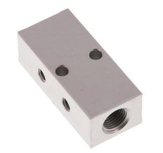 2xG 1/8'' x 2xM5 Aluminium Distributor Block One-sided 16 Bar