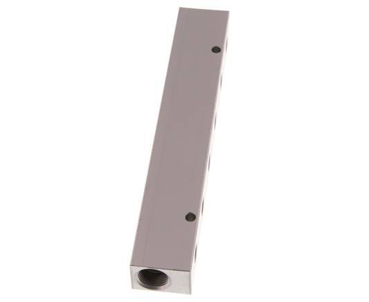 2xG 3/8'' x 6xG 1/8'' Aluminium Distributor Block One-sided 16 Bar