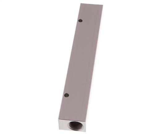 2xG 3/8'' x 6xG 1/8'' Aluminium Distributor Block One-sided 16 Bar
