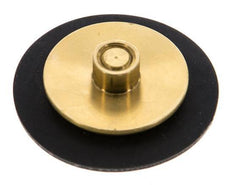 Replacement Diaphragm G1/4'' Water Pressure Reducers S-48RD