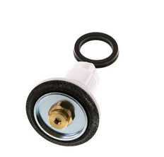 Valve Replacement Kit R 1'' and R 11/4'' 1.5 - 12bar Braukmann