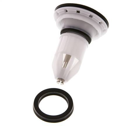Valve Replacement Kit R 1'' and R 11/4'' 1.5 - 12bar Braukmann