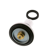 Valve Replacement Kit R 1-1/2'' and R 2'' Braukmann