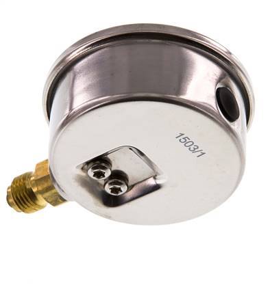 0..0.6 Bar (0..9 psi) Glycerin Pressure Gauge Below Stainless steel/Brass 63 mm Class 1.6