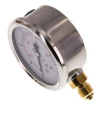 0..6 Bar (0..87 psi) Glycerin Pressure Gauge Below Stainless steel/Brass 63 mm Class 1.6