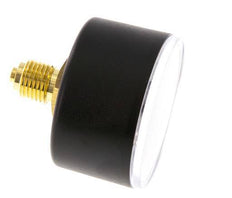 0..100 Bar (0..1450 psi) Pressure Gauge Rear Plastic/Brass 50 mm Class 2.5
