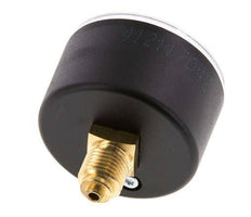 0..16 Bar (0..232 psi) Pressure Gauge Rear Plastic/Brass 50 mm Class 2.5