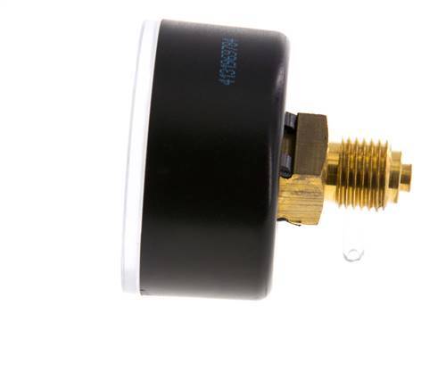 0..6 Bar (0..87 psi) Pressure Gauge Rear Plastic/Brass 50 mm Class 2.5