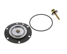 Replacement Diaphragm Filter-Regulator Standard 3