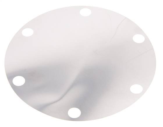Replacement Diaphragm Stainless Steel 1''