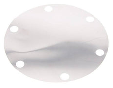 Replacement Diaphragm Stainless Steel 1''