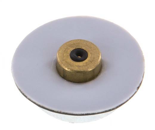 Replacement Diaphragm Pressure Regulator PTFE/NBR 1/4'' Brass