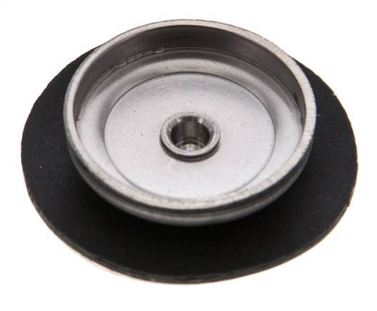 Replacement Diaphragm Gases and Liquids PTFE/NBR 1/4'' Stainless Steel