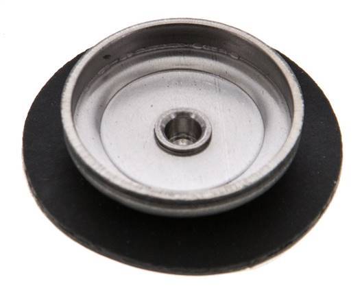 Replacement Diaphragm Gases and Liquids PTFE/NBR 1/4'' Stainless Steel