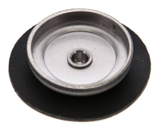 Replacement Diaphragm Gases and Liquids PTFE/NBR 1/4'' Stainless Steel